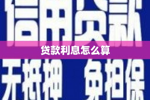 公安贷款利息怎么算