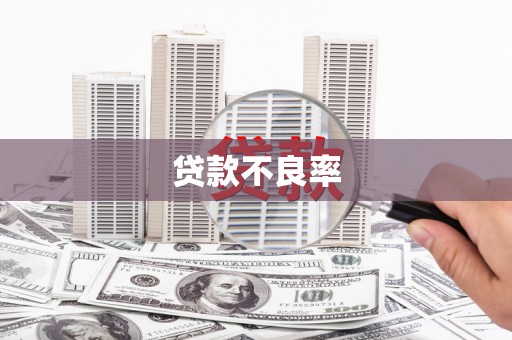 公安贷款不良率