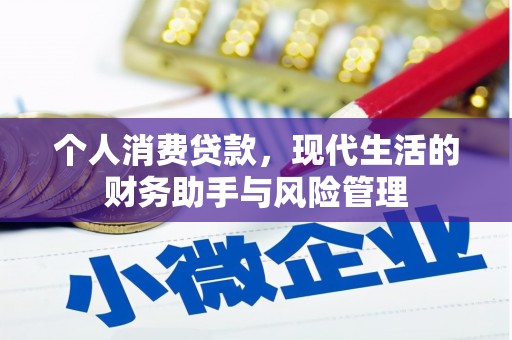 公安个人消费贷款，现代生活的财务助手与风险管理