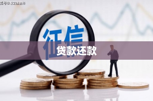 公安贷款还款