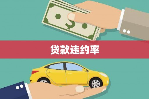 公安贷款违约率