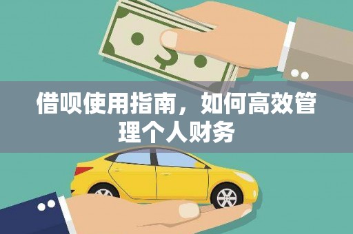 公安借呗使用指南，如何高效管理个人财务