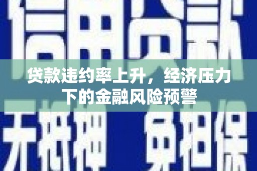 公安贷款违约率上升，经济压力下的金融风险预警