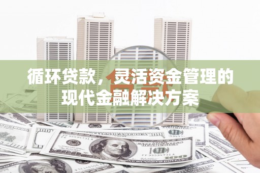 公安循环贷款，灵活资金管理的现代金融解决方案