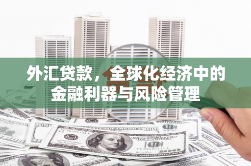 公安外汇贷款，全球化经济中的金融利器与风险管理