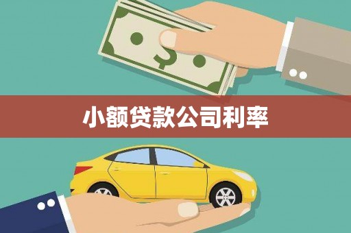 公安小额贷款公司利率