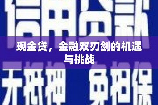公安现金贷，金融双刃剑的机遇与挑战