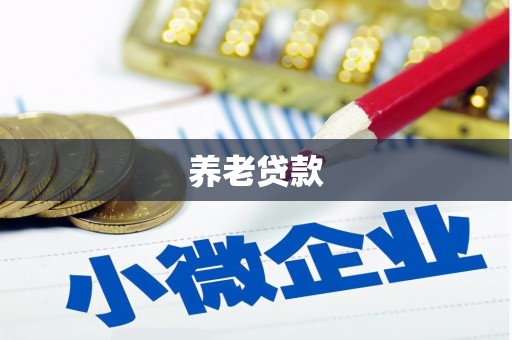 公安养老贷款