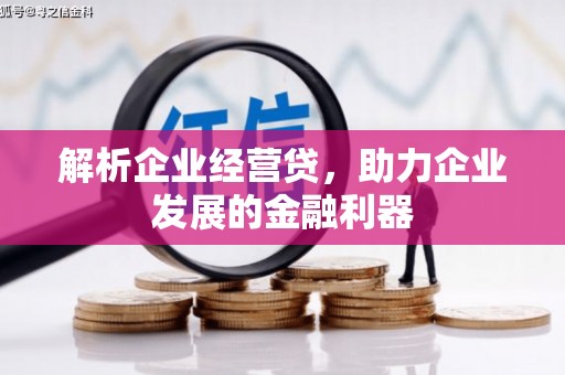 公安解析企业经营贷，助力企业发展的金融利器
