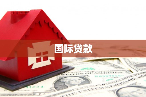 公安国际贷款