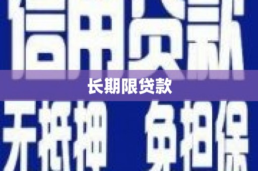 公安长期限贷款