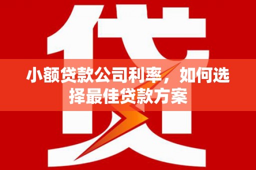 公安小额贷款公司利率，如何选择最佳贷款方案