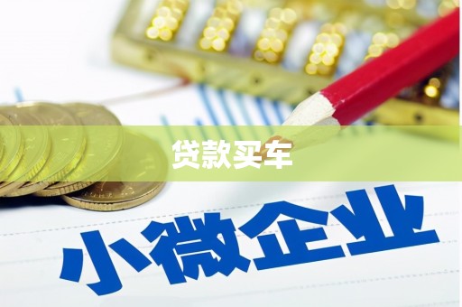 公安贷款买车