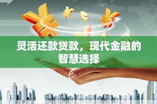 公安灵活还款贷款，现代金融的智慧选择
