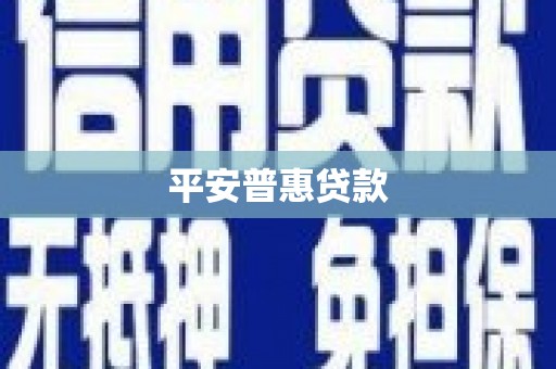 公安平安普惠贷款