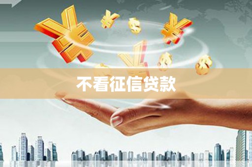 公安不看征信贷款