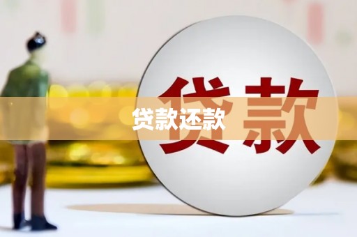 公安贷款还款