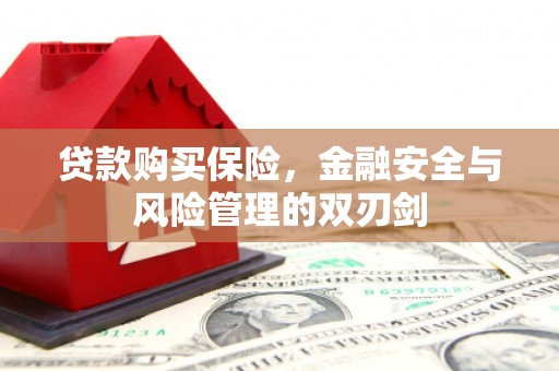 公安贷款购买保险，金融安全与风险管理的双刃剑
