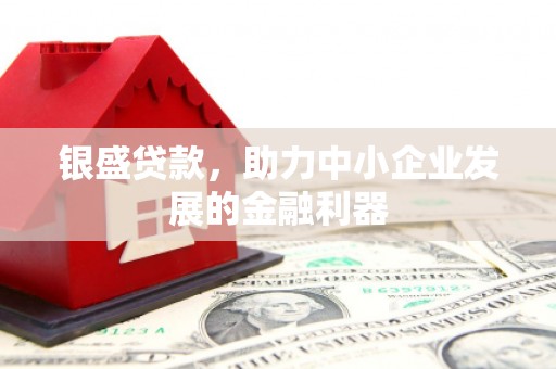 公安银盛贷款，助力中小企业发展的金融利器