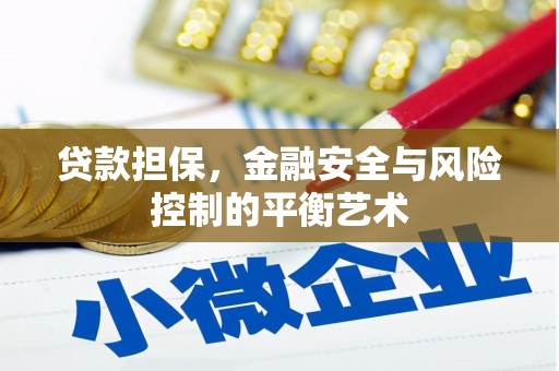 公安贷款担保，金融安全与风险控制的平衡艺术