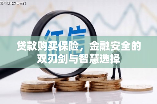 公安贷款购买保险，金融安全的双刃剑与智慧选择