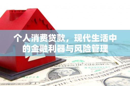 公安个人消费贷款，现代生活中的金融利器与风险管理