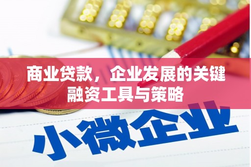 公安商业贷款，企业发展的关键融资工具与策略