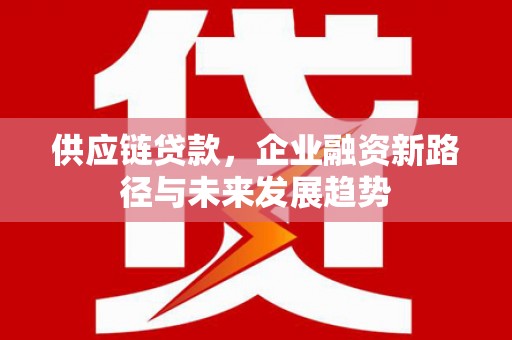 公安供应链贷款，企业融资新路径与未来发展趋势