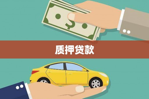 公安质押贷款