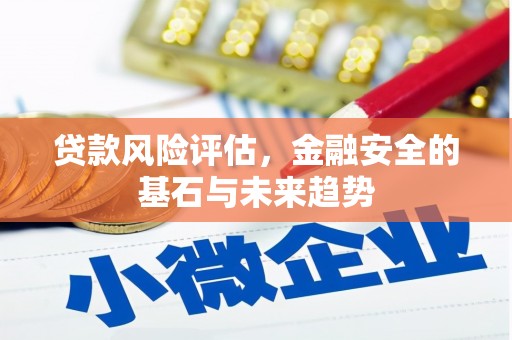 公安贷款风险评估，金融安全的基石与未来趋势