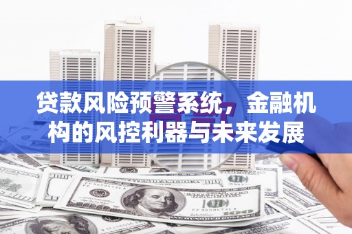 公安贷款风险预警系统，金融机构的风控利器与未来发展