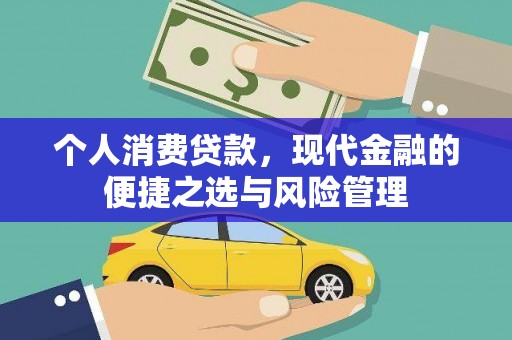 公安个人消费贷款，现代金融的便捷之选与风险管理