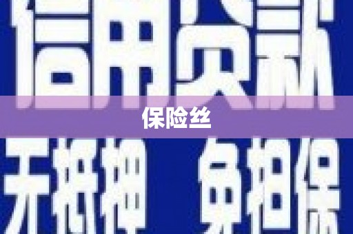 公安保险丝