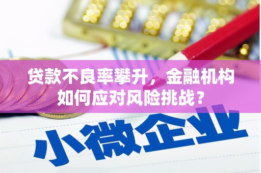 公安贷款不良率攀升，金融机构如何应对风险挑战？