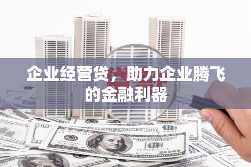 公安企业经营贷，助力企业腾飞的金融利器