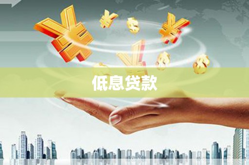 公安低息贷款