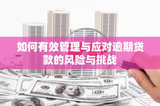 公安如何有效管理与应对逾期贷款的风险与挑战