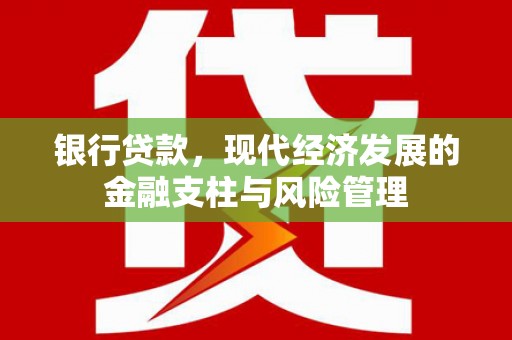 公安银行贷款，现代经济发展的金融支柱与风险管理