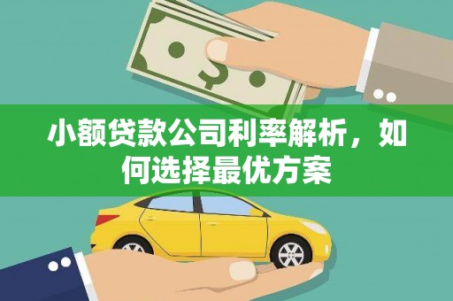 公安小额贷款公司利率解析，如何选择最优方案