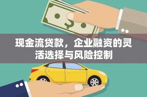 公安现金流贷款，企业融资的灵活选择与风险控制