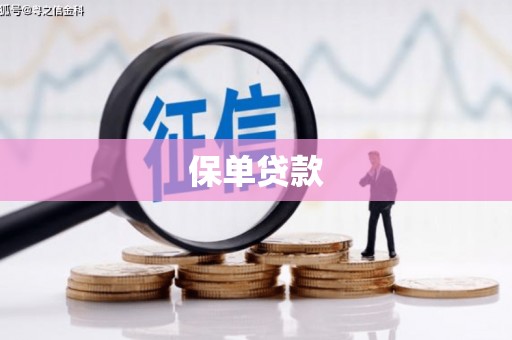 公安保单贷款