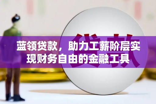 公安蓝领贷款，助力工薪阶层实现财务自由的金融工具