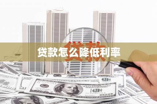 公安贷款怎么降低利率