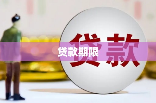 公安贷款期限