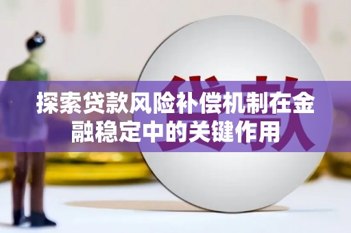 公安探索贷款风险补偿机制在金融稳定中的关键作用