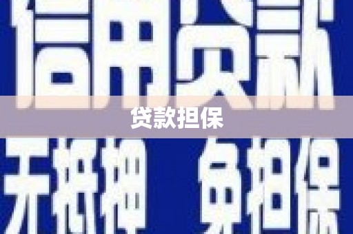 公安贷款担保