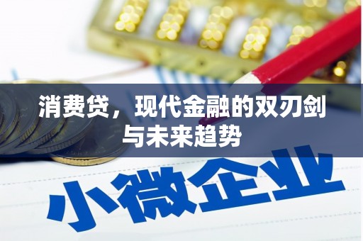 公安消费贷，现代金融的双刃剑与未来趋势