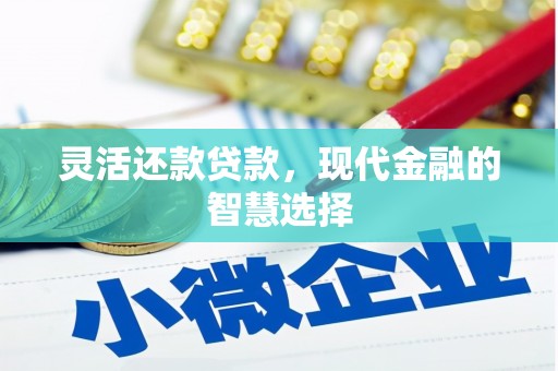 公安灵活还款贷款，现代金融的智慧选择