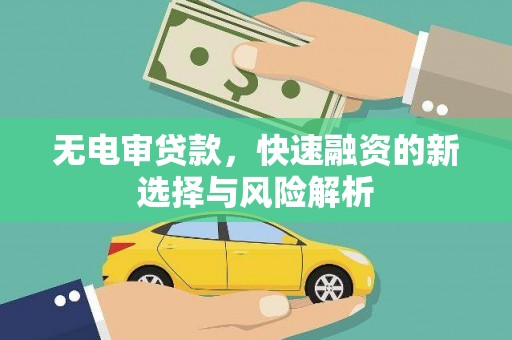 公安无电审贷款，快速融资的新选择与风险解析