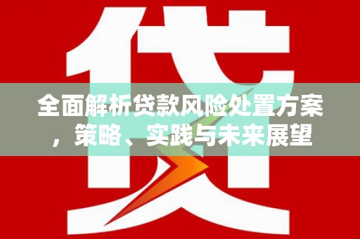 公安全面解析贷款风险处置方案，策略、实践与未来展望